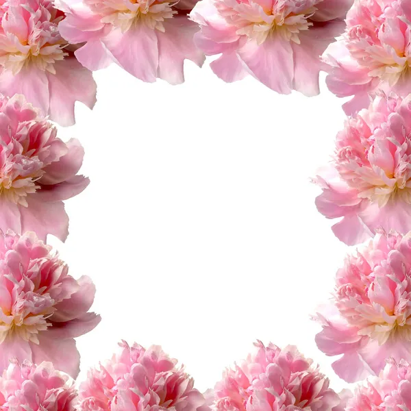 Иллюстрация Розовой Цветочной Рамки Пространством Текста Середине — стоковое фото