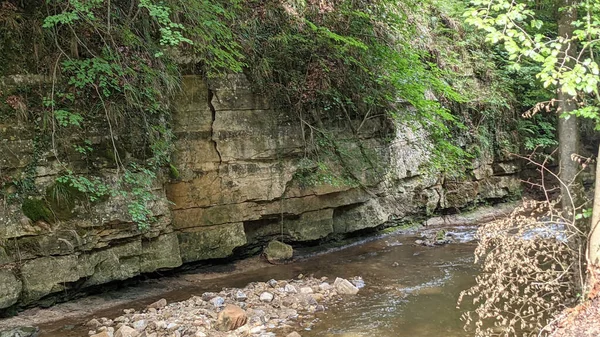 公園内に流れる岩の川の美しい景色 — ストック写真