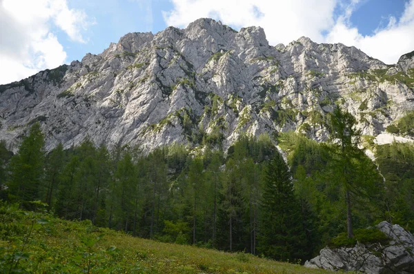 Önünde Yeşil Ağaçlar Tarlalar Olan Kayalık Bir Dağ — Stok fotoğraf