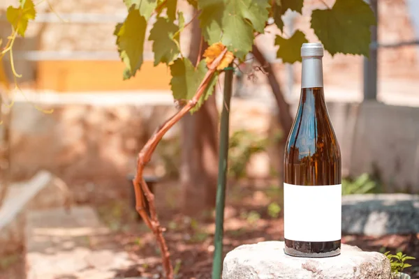 Eine Nahaufnahme Einer Flasche Weißwein Mit Einem Leeren Etikett — Stockfoto