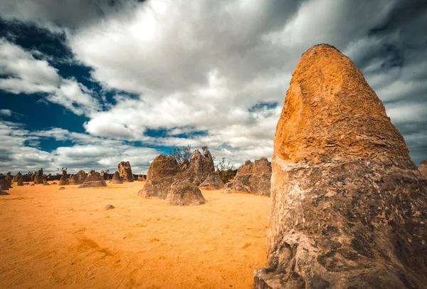Una Vista Panorámica Formación Arenisca Los Pináculos Australia Occidental Día —  Fotos de Stock