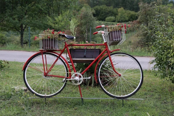 Zbliżenie Starego Roweru Kwiatami Ogrodzie — Zdjęcie stockowe