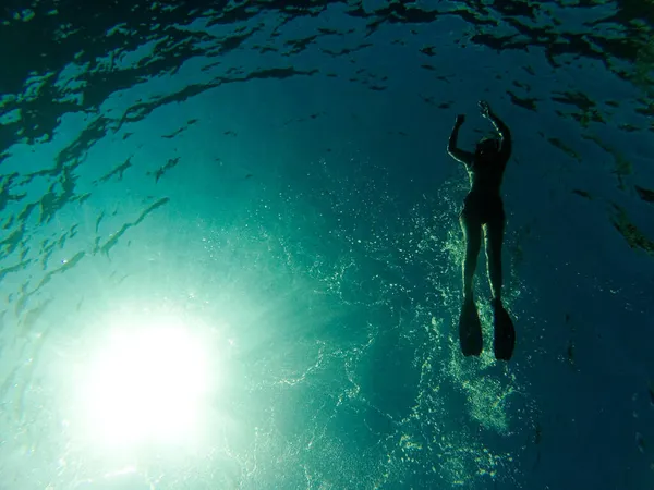 속에서 햇빛을 반사하면서 바다에서 수영하는 — 스톡 사진