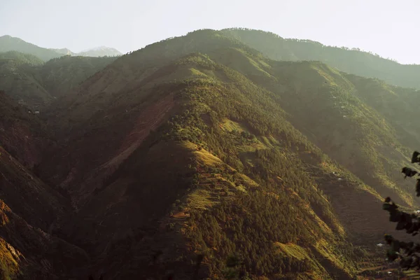 Hermoso Paisaje Cordillera Forestal Durante Amanecer Nublado — Foto de Stock