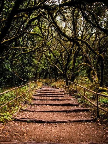 Stairway Forest Autumn — Stock Photo, Image
