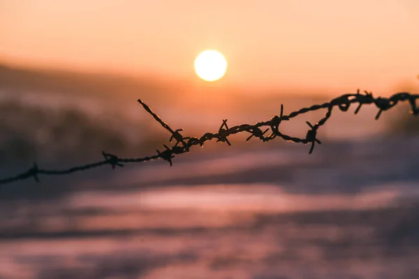 Colpo Fuoco Superficiale Filo Spinato Uno Sfondo Tramonto — Foto Stock