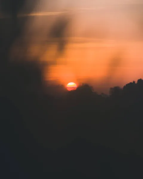 Vacker Orange Ljus Sol Bakom Trädets Sillhuetter Strax Före Solnedgången — Stockfoto