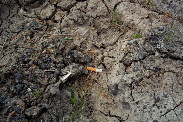 A cigarette butt on a puddle of dry mud. Soil pollution by waste.