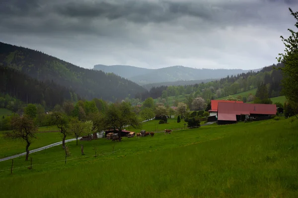 Een Dal Het Beskydy Gebergte Tsjechië — Stockfoto