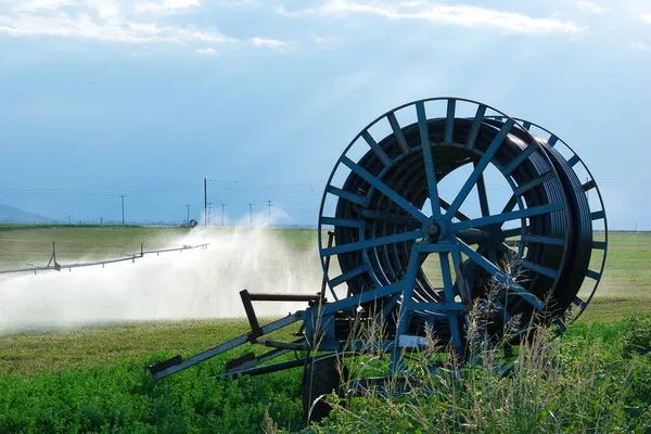 Sistema Rociadores Con Lanzador Autopropulsado Acción Los Campos Día Soleado — Foto de Stock