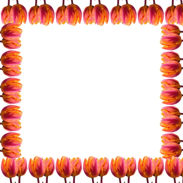 Illustrazione Una Cornice Floreale Tulipano Rosso Con Spazio Testo Centro — Foto Stock