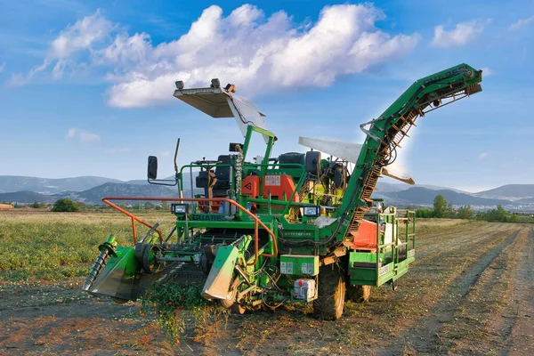 Una Toma Una Máquina Recolección Tomate Industrial Trabajando Campo Día —  Fotos de Stock