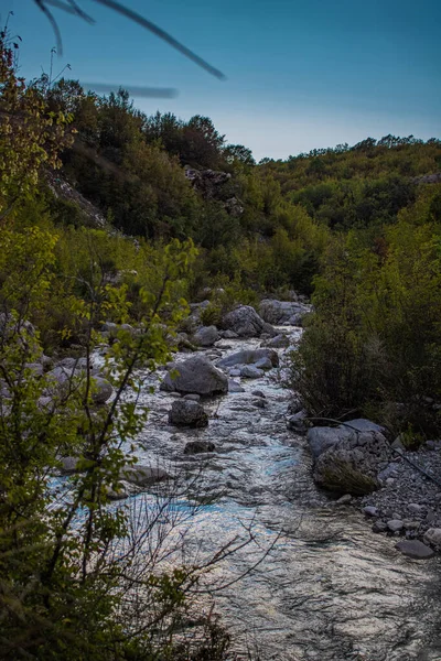 Rio Que Flui Sobre Rochas Nas Florestas Selvagens — Fotografia de Stock