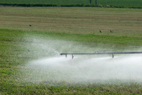 Sprinkleranlage Mit Selbstfahrender Trägerrakete Einsatz Auf Den Feldern Einem Sonnigen — Stockfoto