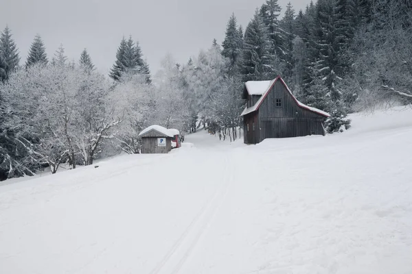 Die Häuser Auf Einem Schneebedeckten Berg Umgeben Von Bäumen — Stockfoto