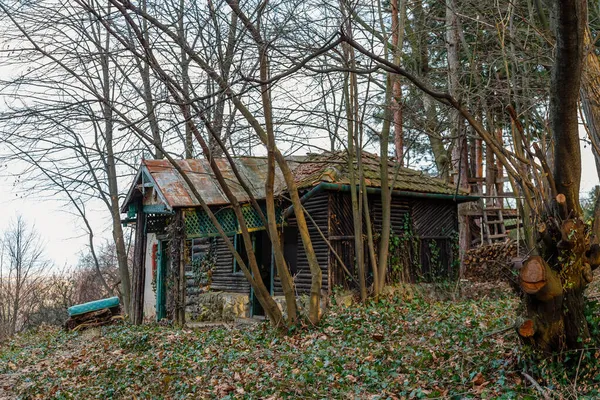 Красивый Вид Лес Деревянный Дом — стоковое фото