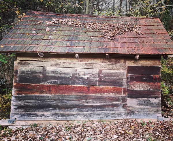 Uma Velha Casa Madeira Abandonada Uma Floresta Com Seco — Fotografia de Stock