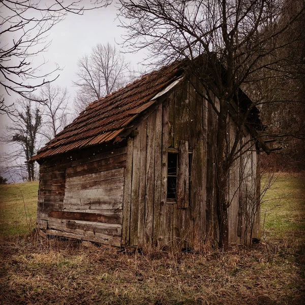 Une Grande Vieille Maison Bois Dans Une Sombre Forêt Automne — Photo