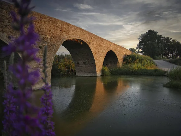 Primer Plano Puente Piedra Gualta España Por Mañana —  Fotos de Stock