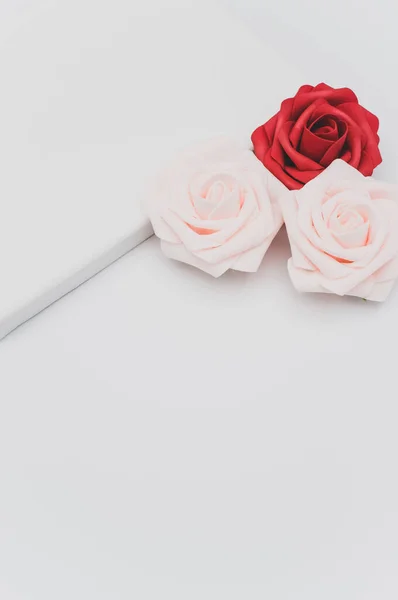红色和粉色玫瑰头 白色的空白帆布上有文字空间 — 图库照片