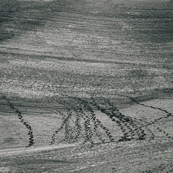 Серый Снимок Холмов Азатского Водохранилища Днем Армении — стоковое фото
