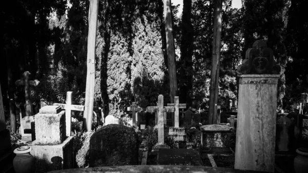 Grayscale Shot Crosses Graveyard — Stock Photo, Image