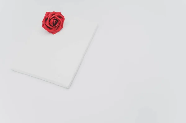 Vermelho Rosa Flor Cabeça Uma Tela Branco Branco Com Espaço — Fotografia de Stock