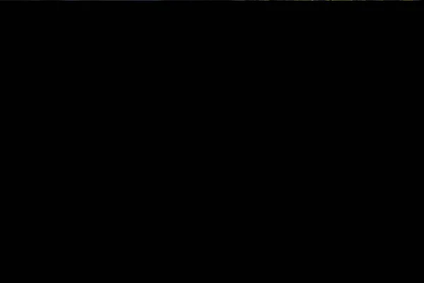 Листя Бука Гілках Лісі Під Час Раннього Сонячного Світла — стокове фото
