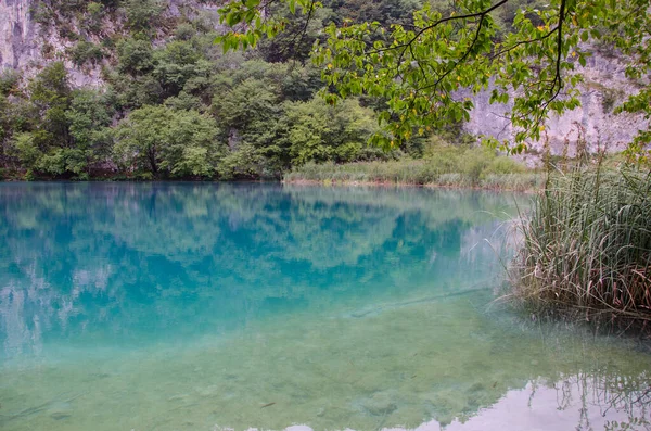 Beautiful Shot Plitvice Lake National Park Croatia — Stock Photo, Image