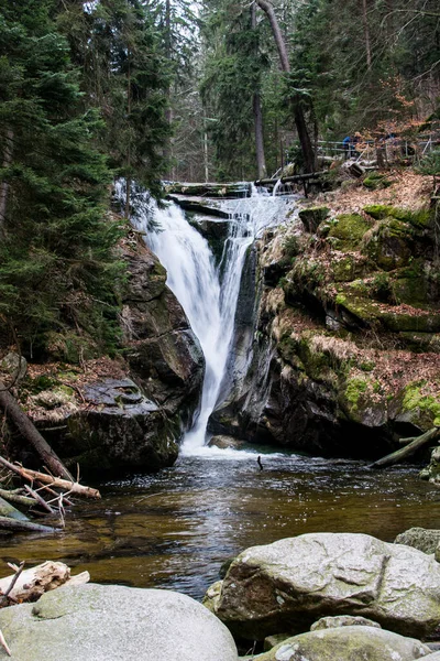 Plano Vertical Hermosa Cascada Bosque — Foto de Stock