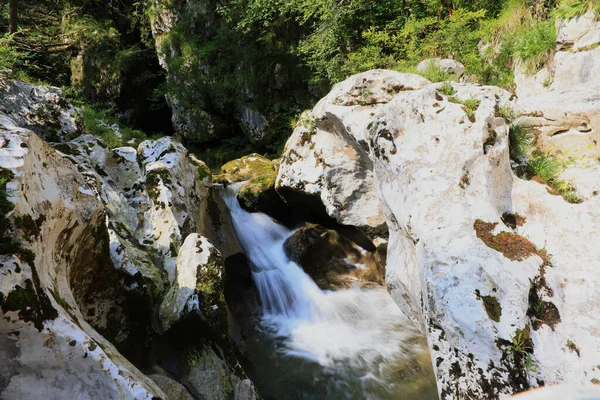 Uma Cachoeira Floresta Primavera — Fotografia de Stock