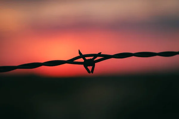 铁丝网后面的夕阳 — 图库照片