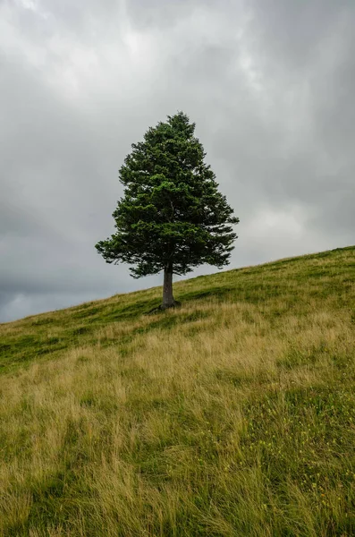 Zonas Rurales Eslovenia 2021 Una Hermosa Vista Los Paisajes Lugares — Foto de Stock