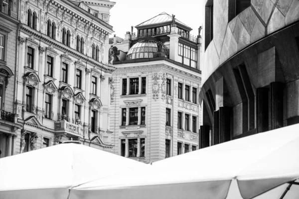 オーストリア ウィーンの美しい建築デザインのグレースケール — ストック写真