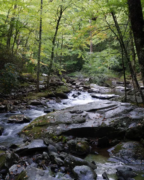 森の岩の上を流れる川の垂直ショット — ストック写真
