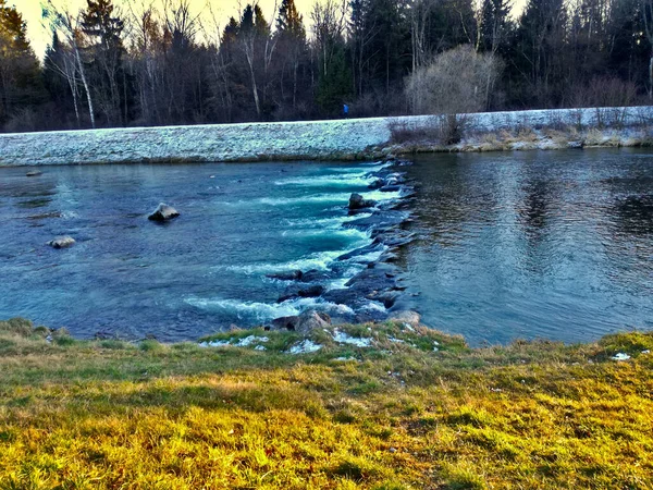 Río Con Piedras Bosque Cerca — Foto de Stock