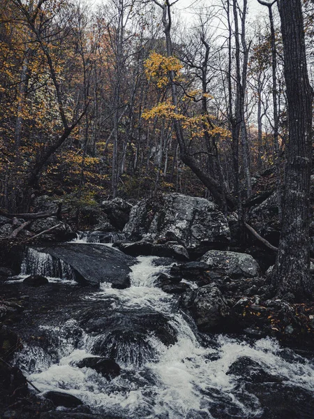 Water Flowing Downstream Autumnal Forest Virginia Usa — Stock Photo, Image