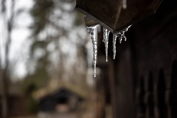 Close Upstalactites Seletivo Icicles Pendurados Telhado — Fotografia de Stock