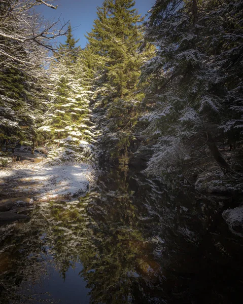 Uma Vista Arrepiante Rio Calmo Com Reflexo Árvores Cobertas Neve — Fotografia de Stock