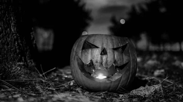 Большая Тыква Вырезанным Лицом Символ Хэллоуина — стоковое фото