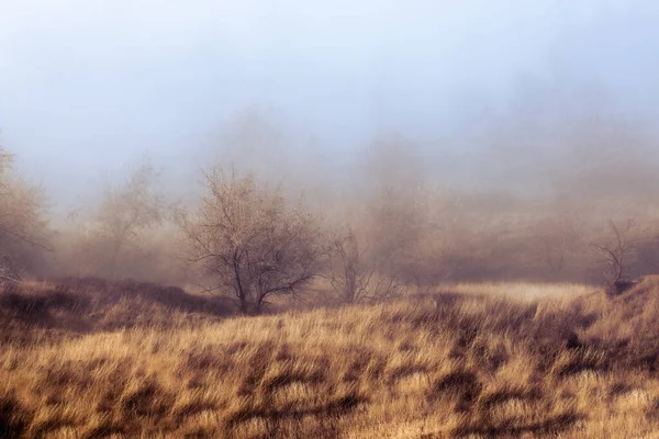 Uma Vista Panorâmica Campo Outonal Uma Manhã Enevoada Campo — Fotografia de Stock