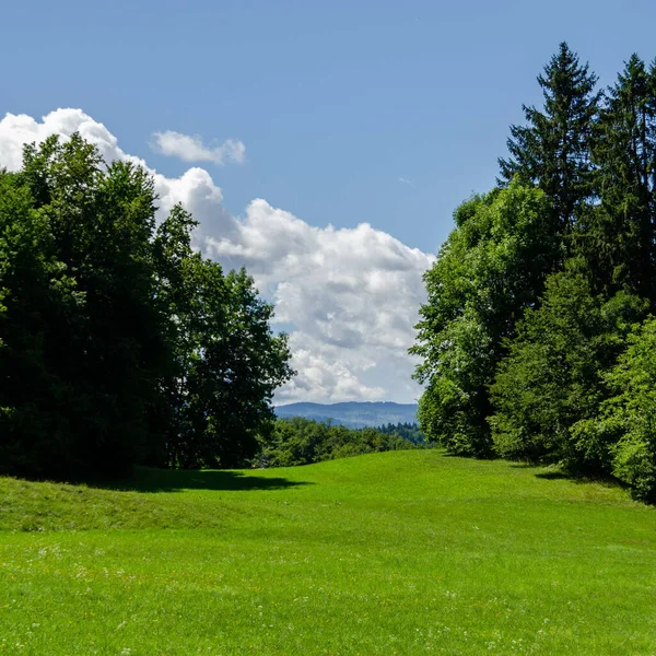 Rurální Oblasti Slovinsko Srpna 2021 Krásný Výhled Krajinu Zajímavosti Oblíbených — Stock fotografie