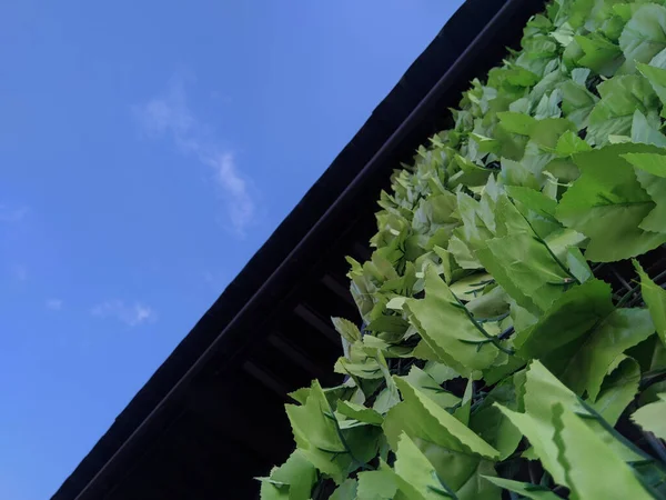 Tiro Ângulo Baixo Uma Planta Artificial Edifício Como Uma Decoração — Fotografia de Stock