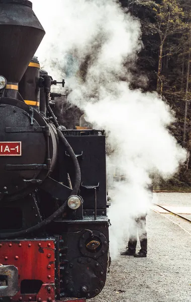 木を背景に駅に立つ蒸気機関車と人 — ストック写真