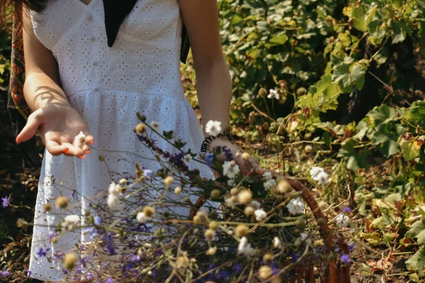 Female White Dress Standing Field Holding Basket Wild Flowers — Stock Photo, Image