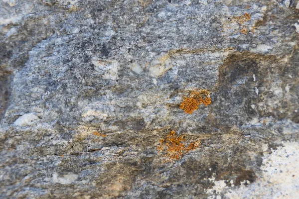 Closeup Rock Texture — Stock Photo, Image
