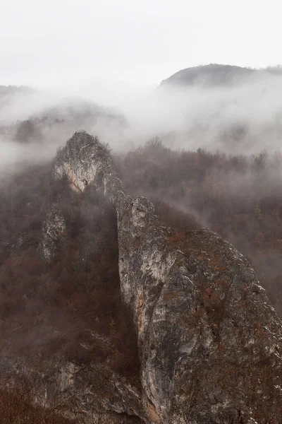 Een Prachtig Verticaal Panoramisch Uitzicht Hoge Kliffen Bedekt Met Mist — Stockfoto