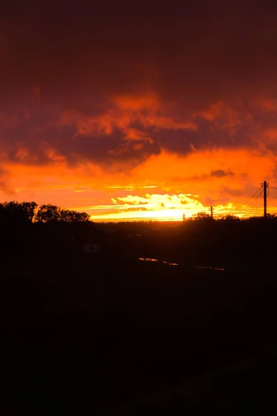 Uma Vertical Silhueta Árvores Durante Pôr Sol Renânia Norte Vestefália — Fotografia de Stock