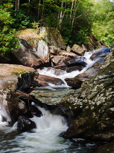 Pionowe Ujęcie Rzeki Przepływającej Nad Skałami Lesie — Zdjęcie stockowe