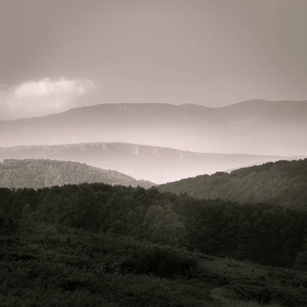 Gyönyörű Panoráma Erdőkre Ködös Hegyekre — Stock Fotó